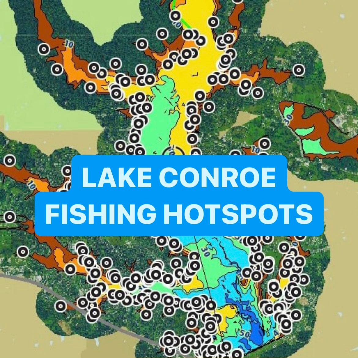 Lake Conroe Big Bass Tour 2024 Fishing Map Cards