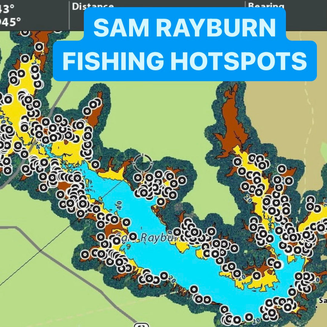 Mastering Summer Largemouth Bass Fishing at Sam Rayburn