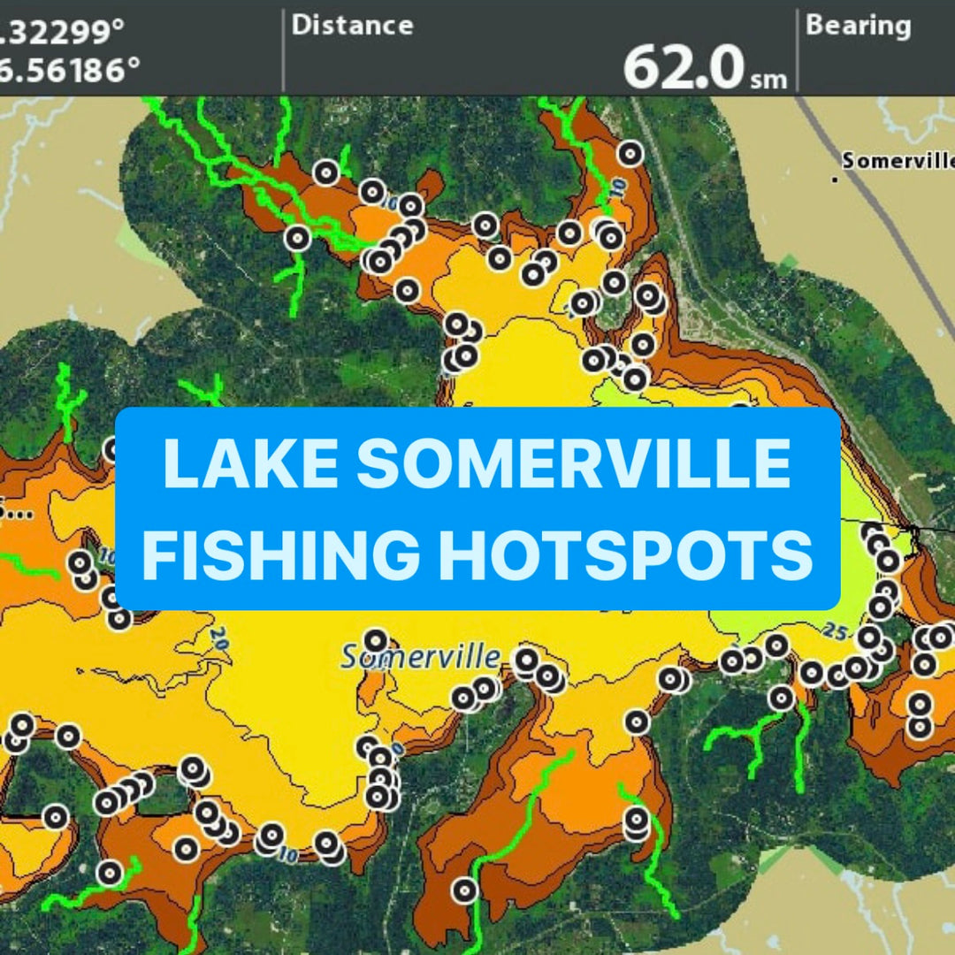 Lake Somerville Bass Fishing Report - December