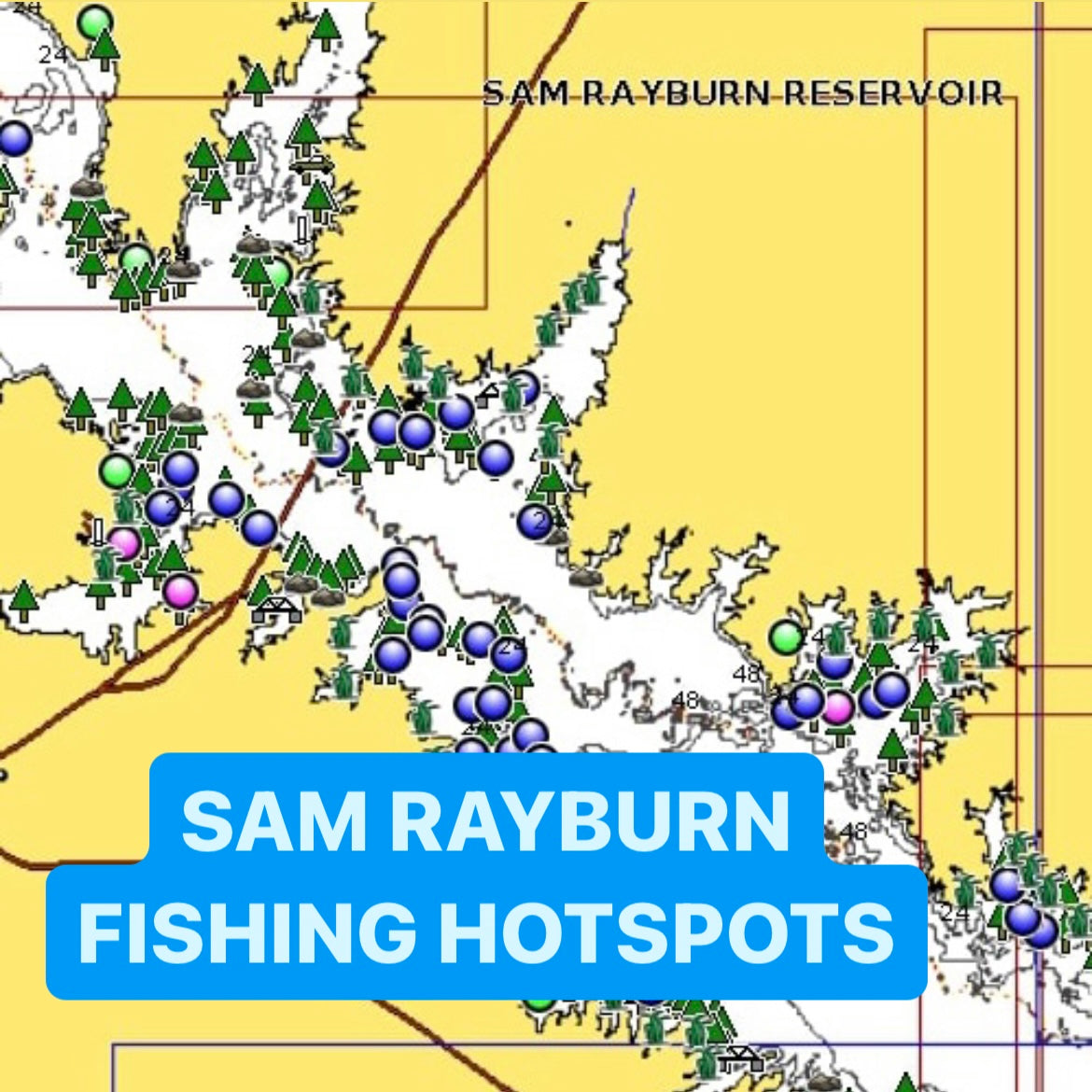 Sam Rayburn Bass Fishing Report - December Fishing Spots