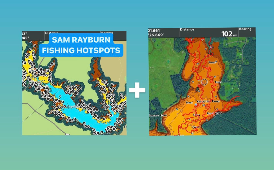 Sam Rayburn Winter Time Bass Fishing - Creek Channels