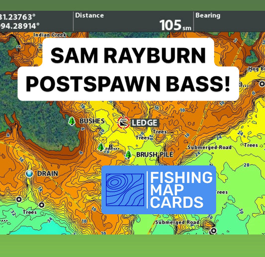 Sam Rayburn Post Spawn Bass - Adapting to Low Water Levels!
