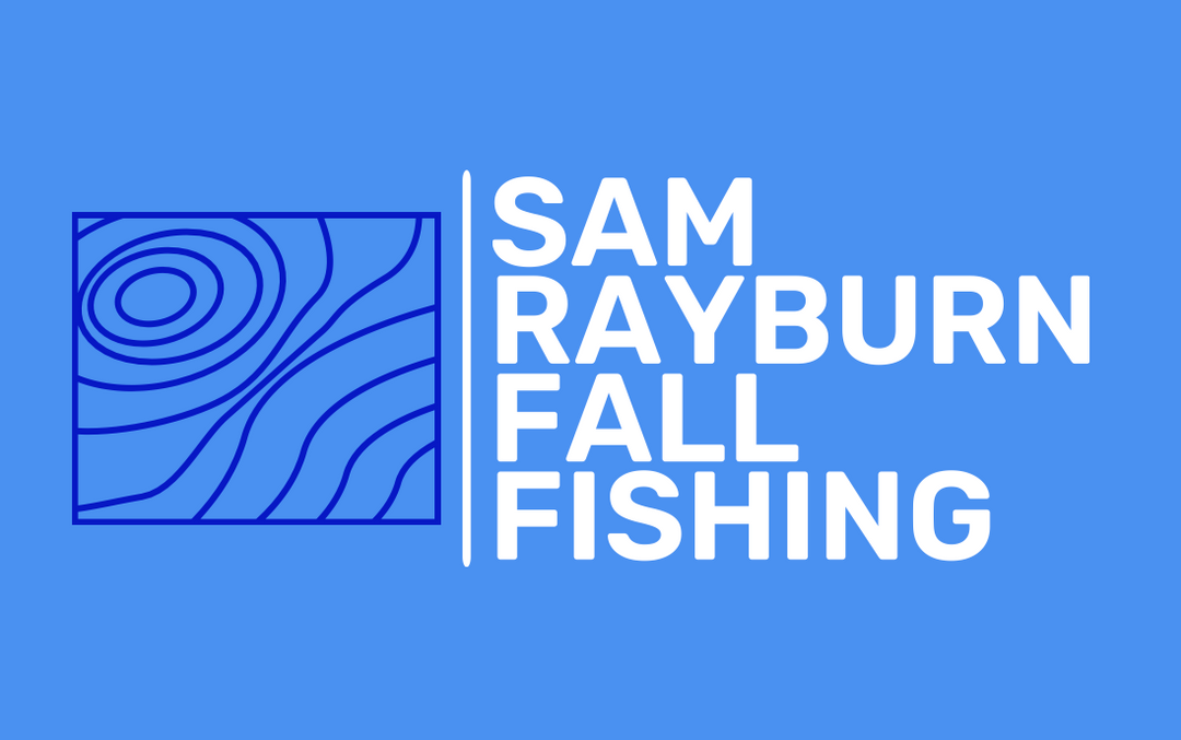 Fall Fishing on Sam Rayburn Reservoir: Targeting Deep Structure