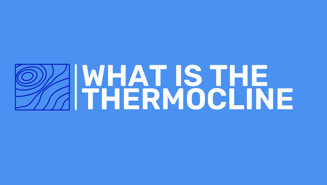 Understanding the Thermocline and Fall Turnover: Key Concepts for Successful Fishing