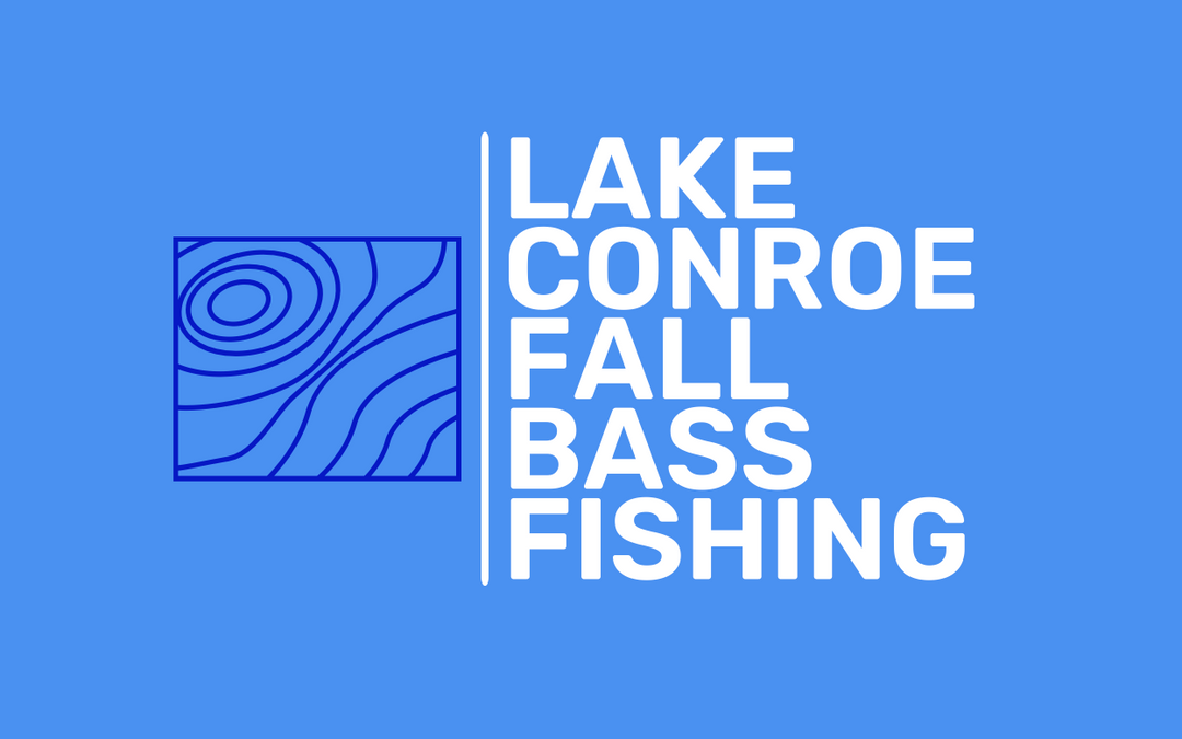 Follow the Fall Bass Migration on Lake Conroe