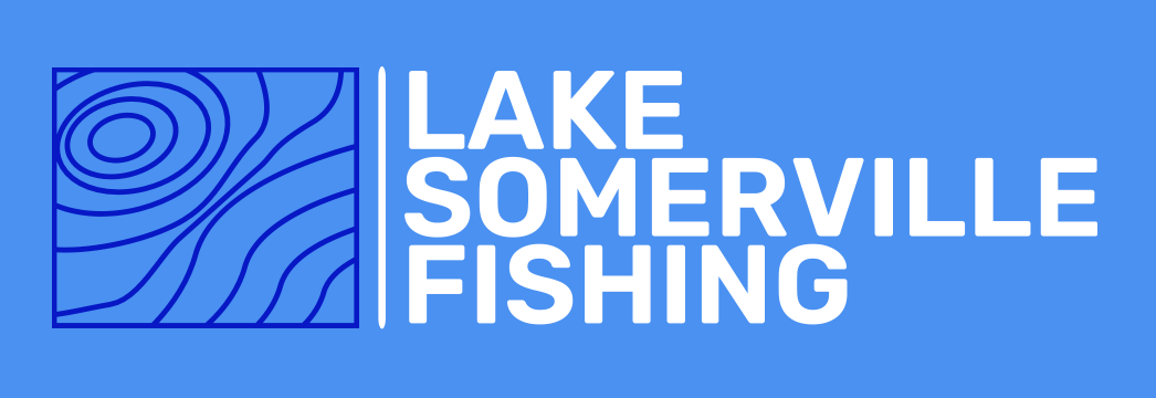 A Comprehensive Guide to Fishing Lake Somerville