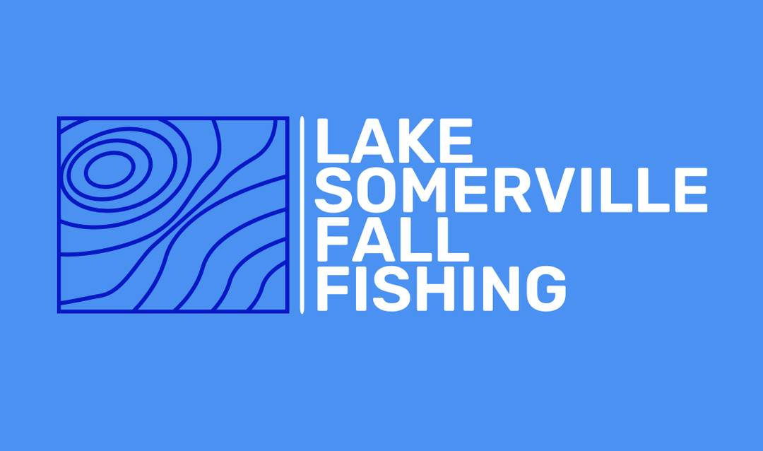 Fall Fishing on Lake Somerville: Focusing on Points and Drop-Offs