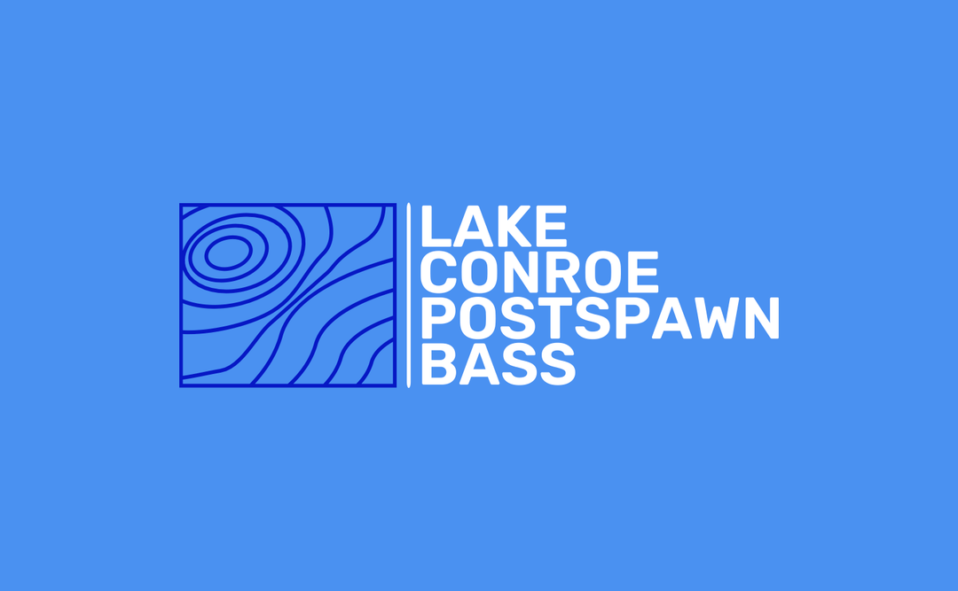 How to Fish Lake Conroe in the Postspawn for Largemouth Bass