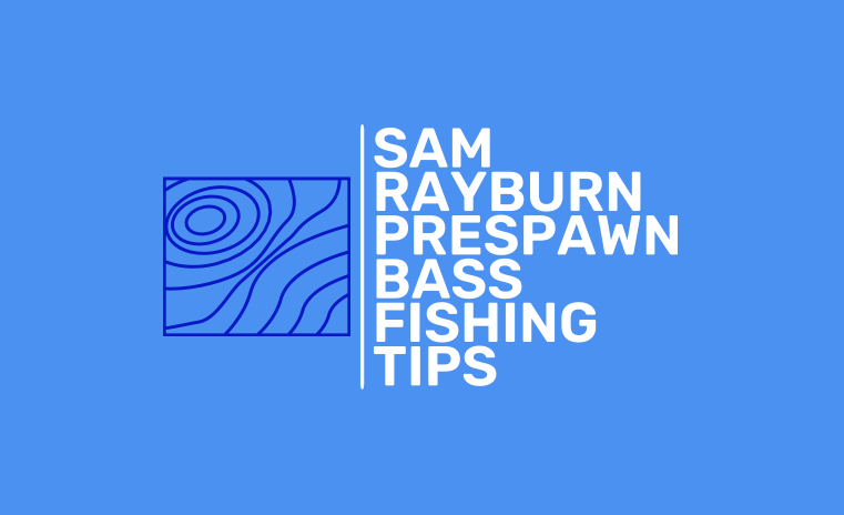 Sam Rayburn Bass Fishing - Prespawn