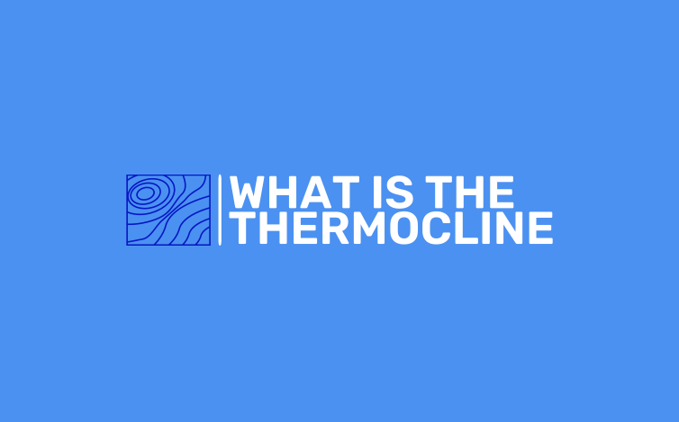 Understanding the Thermocline and Fall Turnover: Key Concepts for Successful Fishing