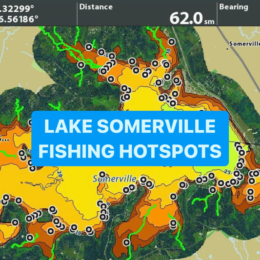 Lake Somerville Fishing Hotspots